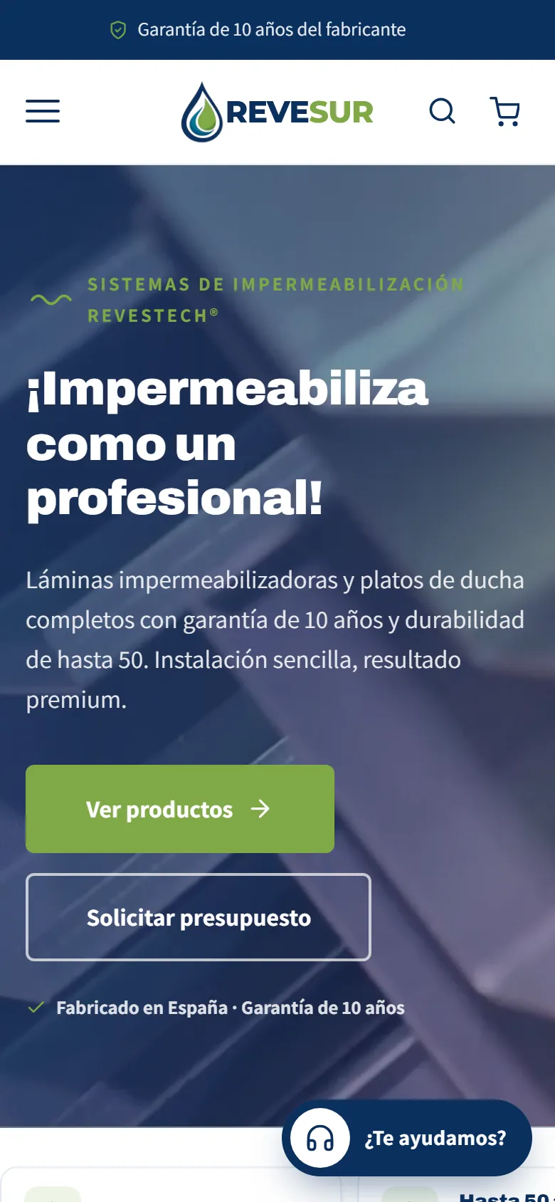 Home page of the Revesur website on a phone